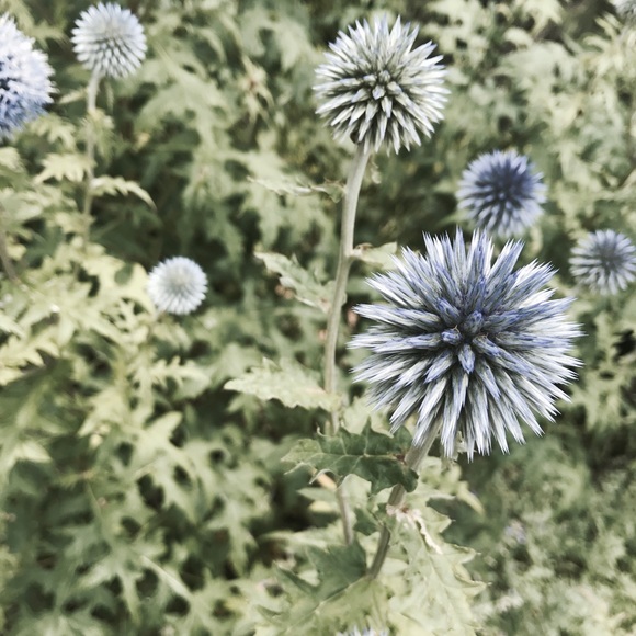 Meet your Posher, Leanna - Picture 1 of 1